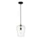 Z-Lite Joliet 1 Light Pendant, Matte Black & Clear 473P9-MB - alternate 7